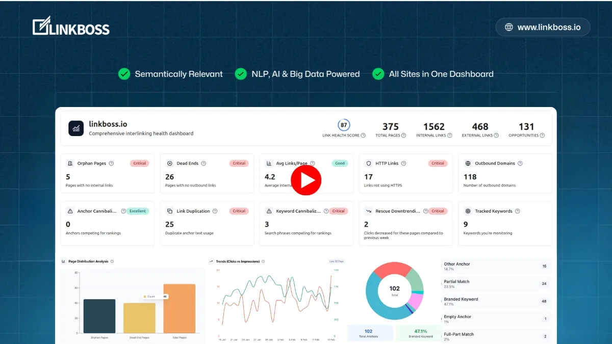 LinkBoss internal linking tool dashboard showing site structure and link health metrics.