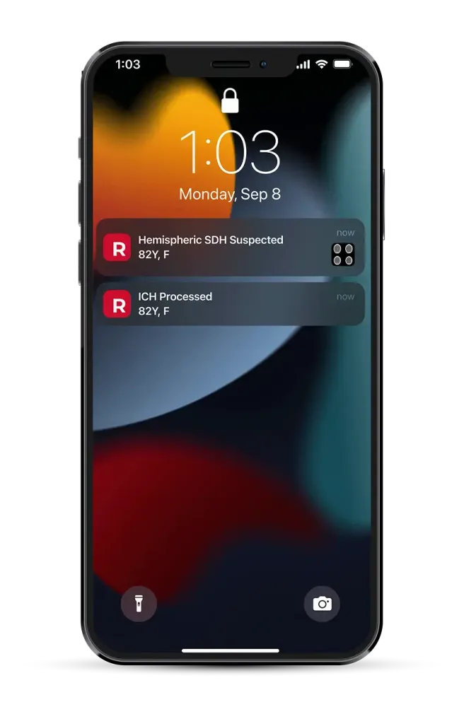 Mobile phone screenshot of notifications from RapidAI