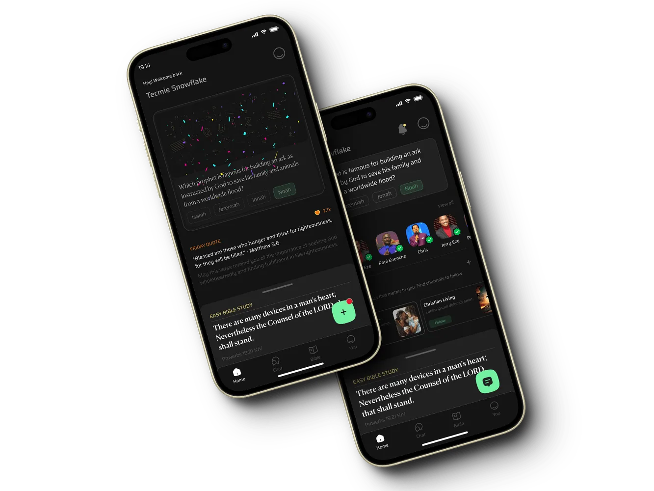 Screenshot of ChatKJV Mobile App